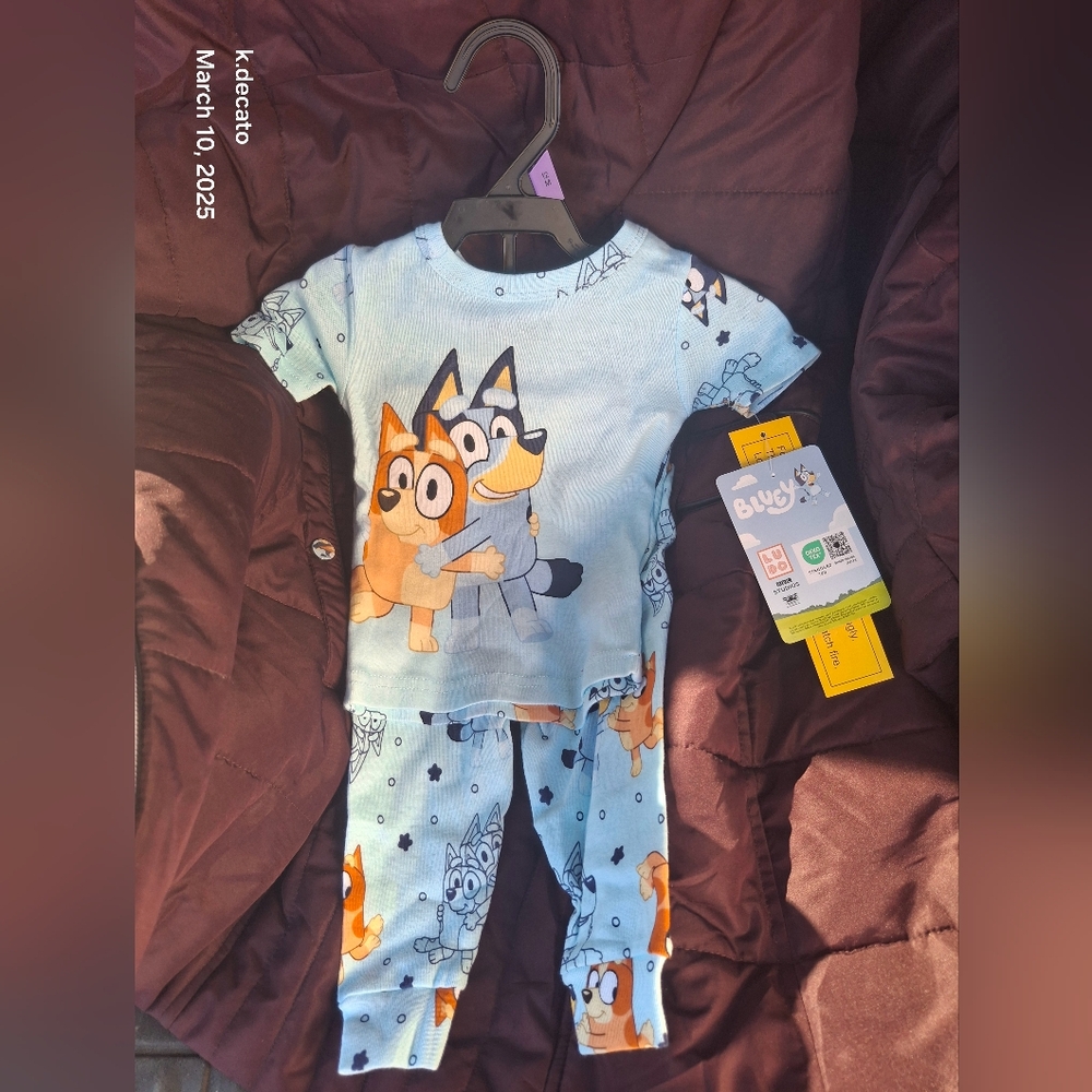 Toddler BLUEY pajamas